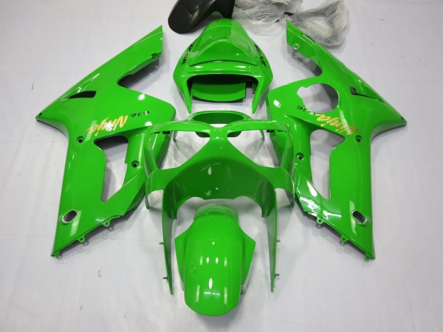 Grüner Ninja 2003-2004 ZX6R Motorrad Verkleidungen